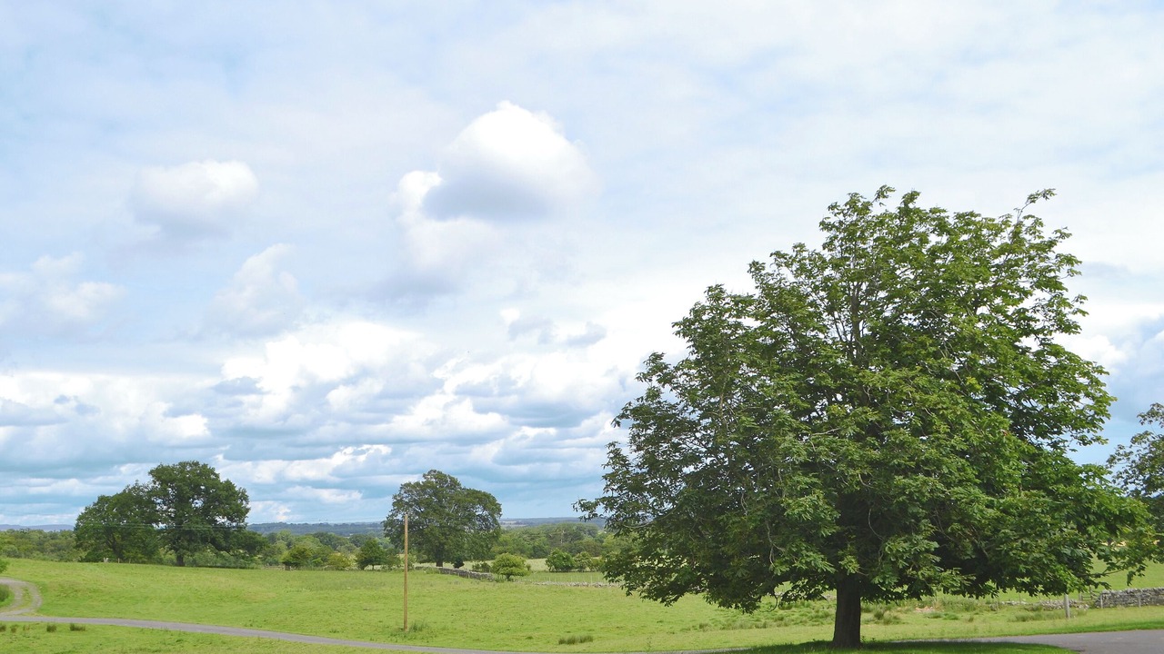 Photo of Others in Hallington