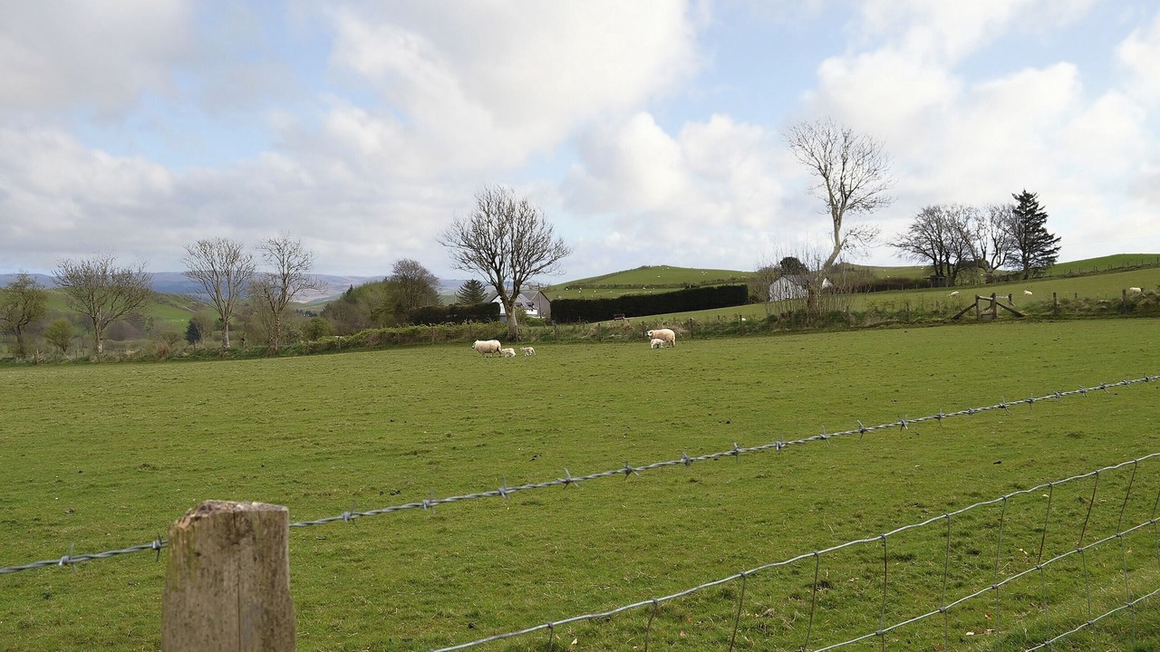 Photo of Others in Glandyfi