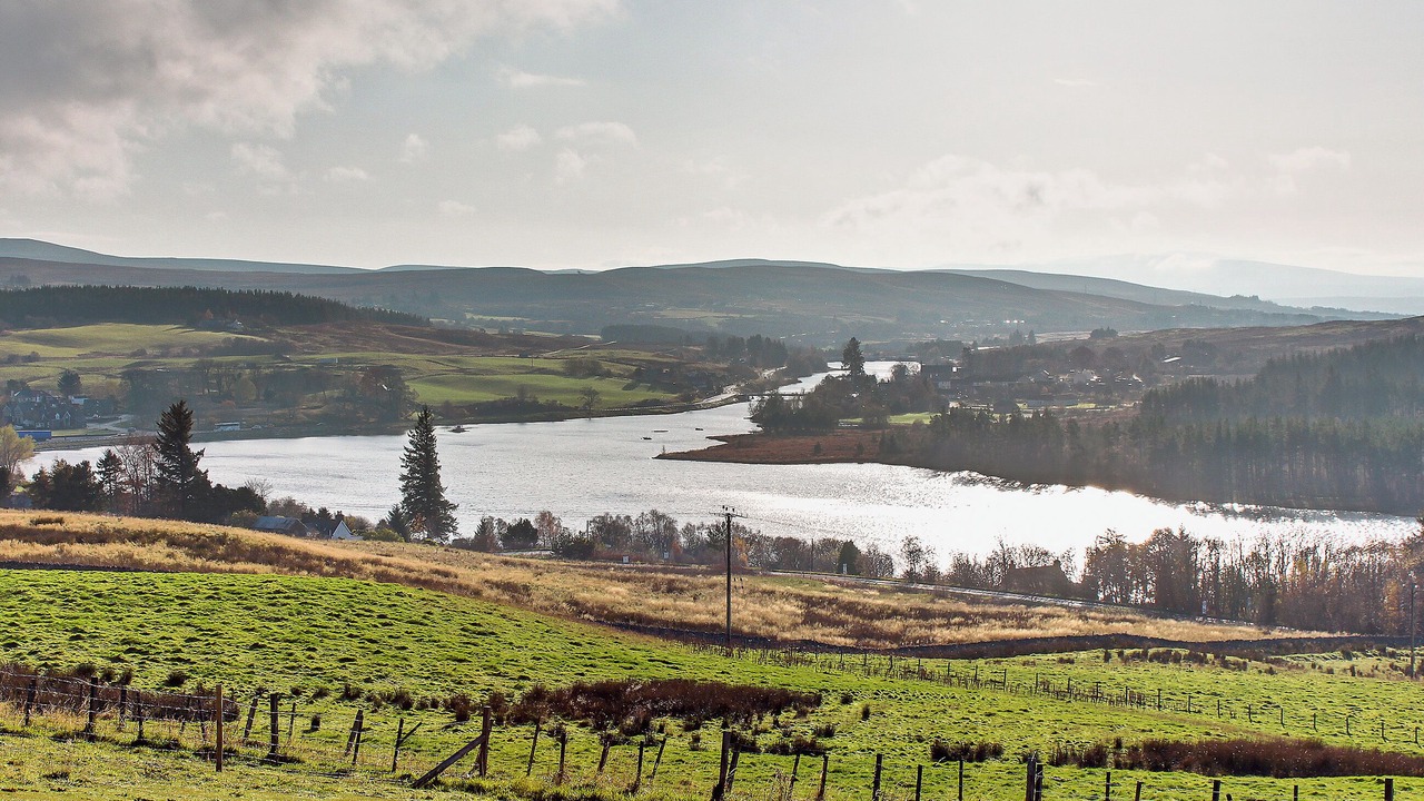 Photo of Others in Lairg