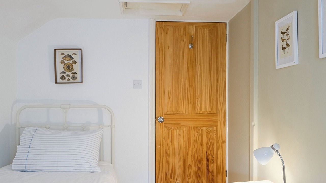 Photo of Others in Freshwater