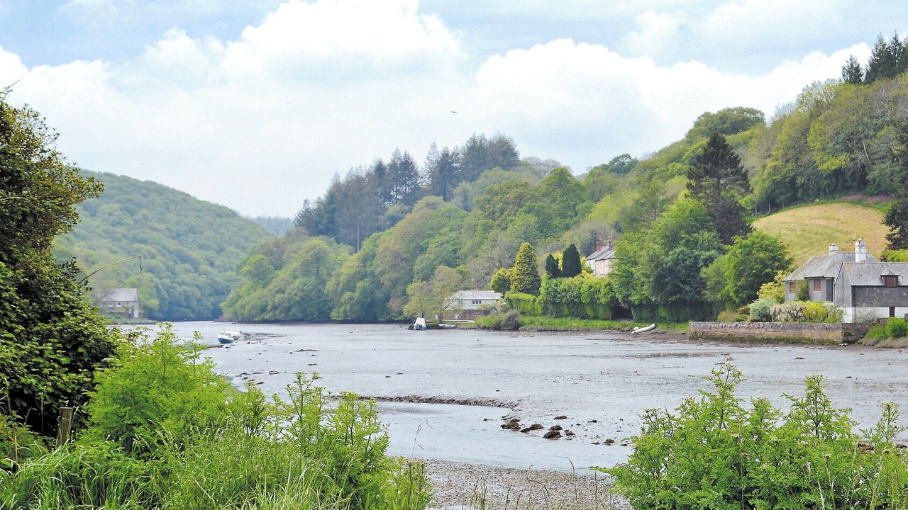 Photo of Others in Lerryn