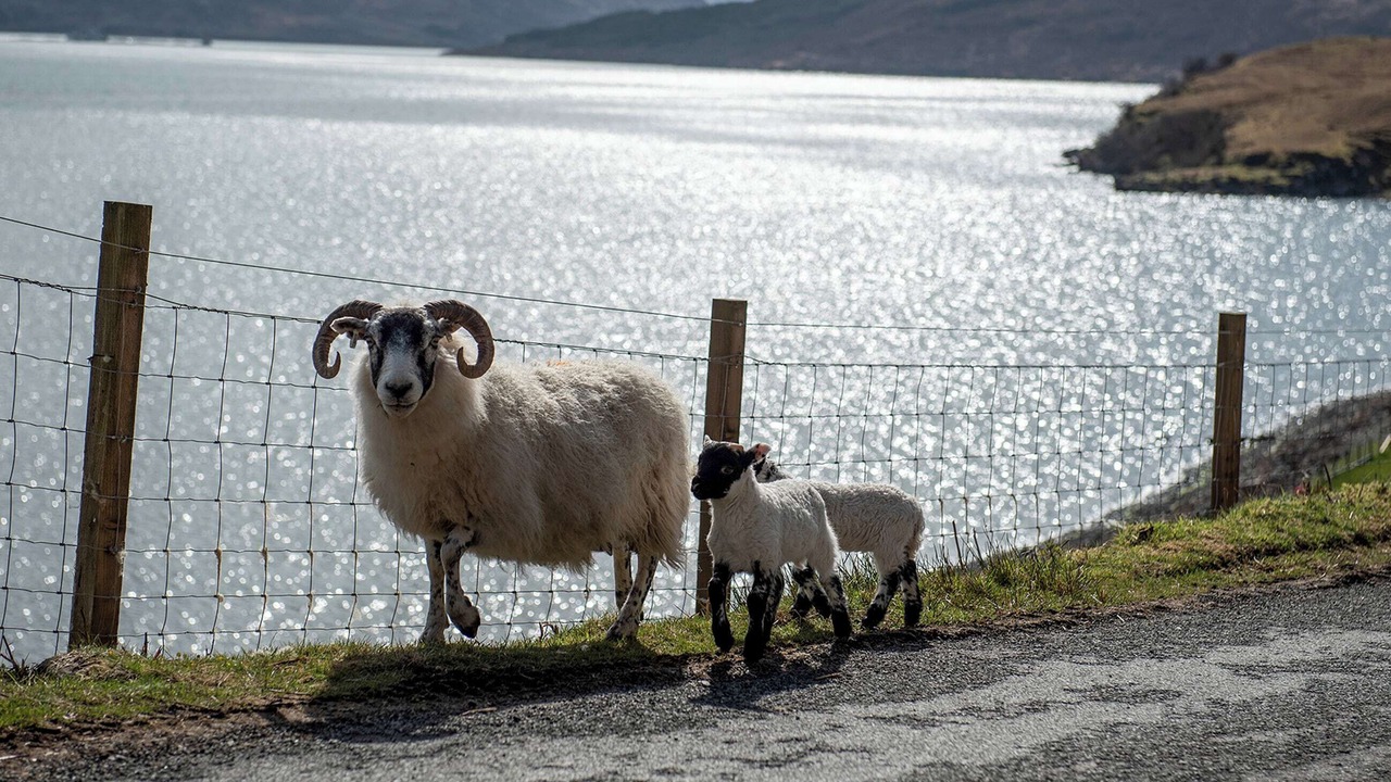 Photo of Others in Portree