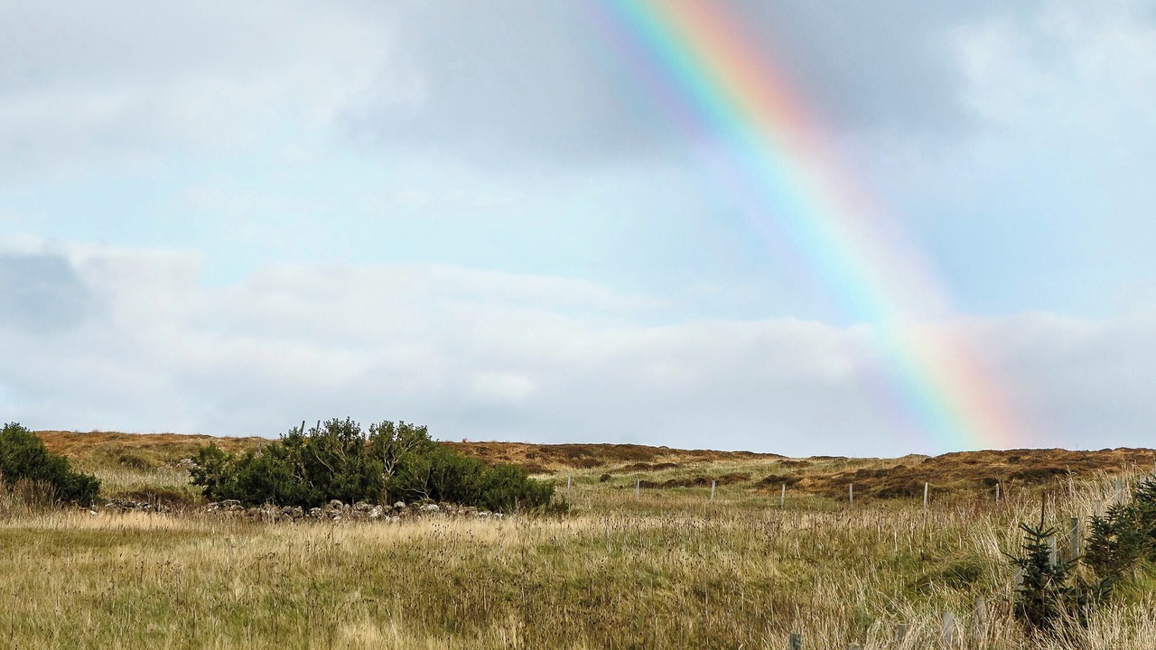Photo of Others in Portree