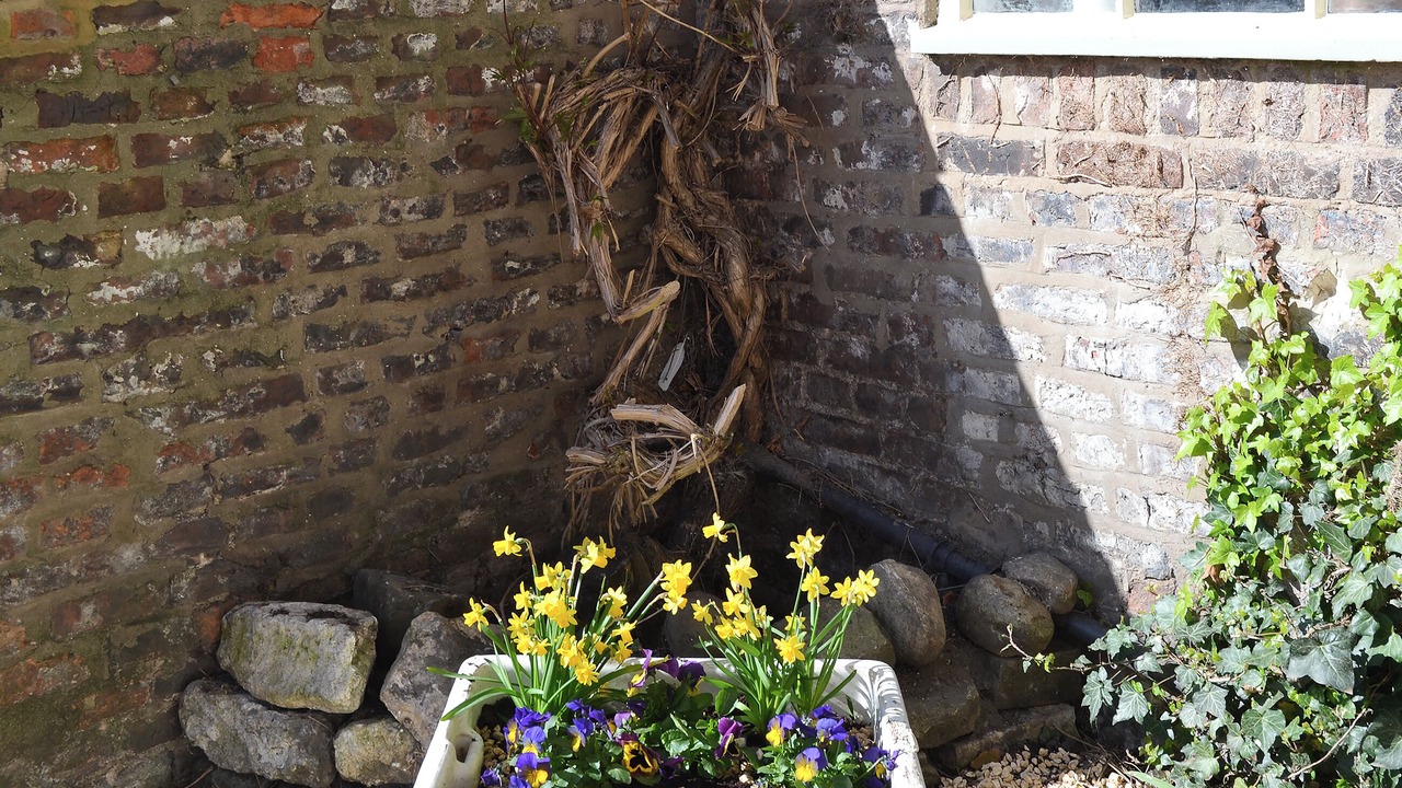 Photo of Outdoor in Bridlington