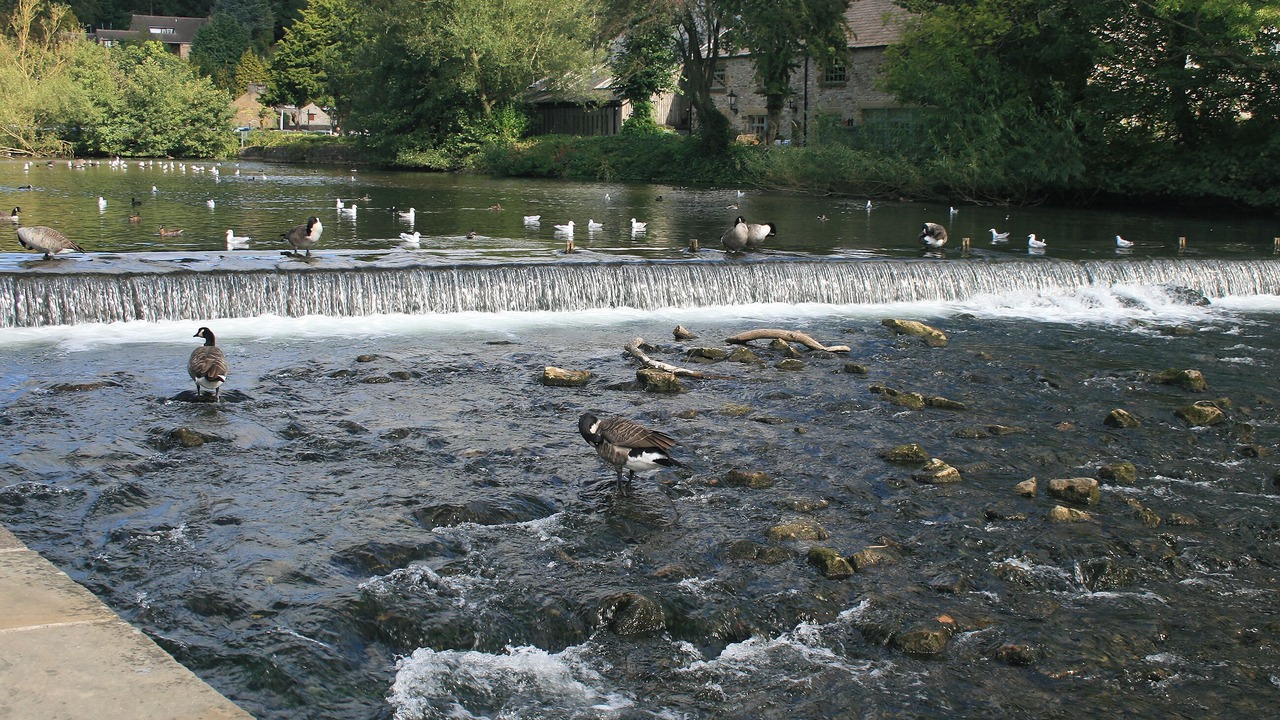 Photo of Others in Bakewell