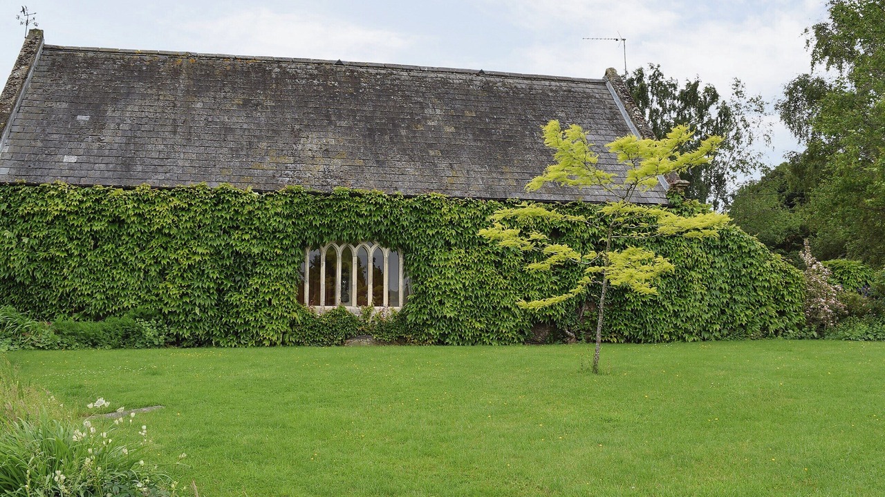 Photo of Others in Warkworth