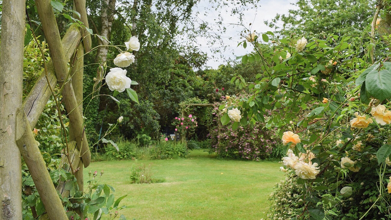 Photo of Outdoor in Warkworth