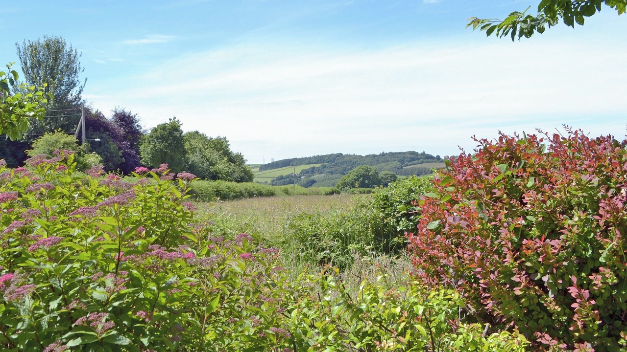 Photo of Others in Axton