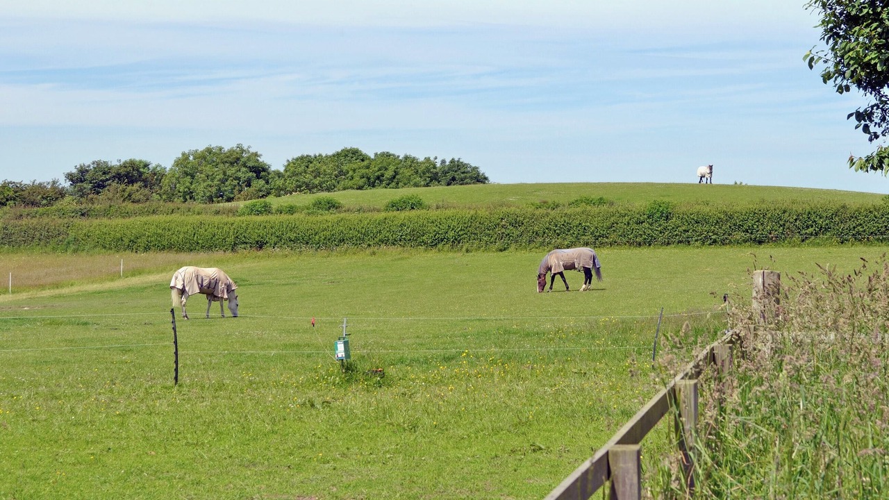 Photo of Others in Axton