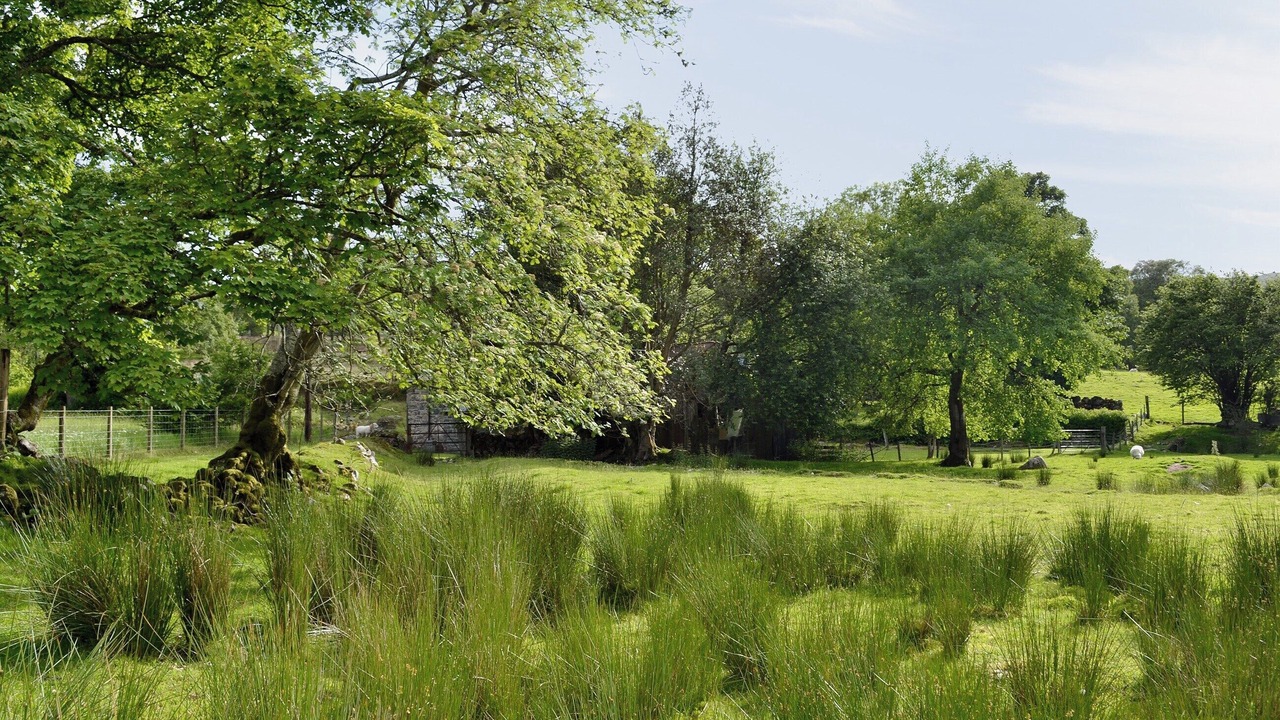 Photo of Others in Llanuwchllyn