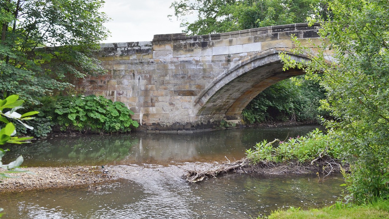 Photo of Others in Helmsley