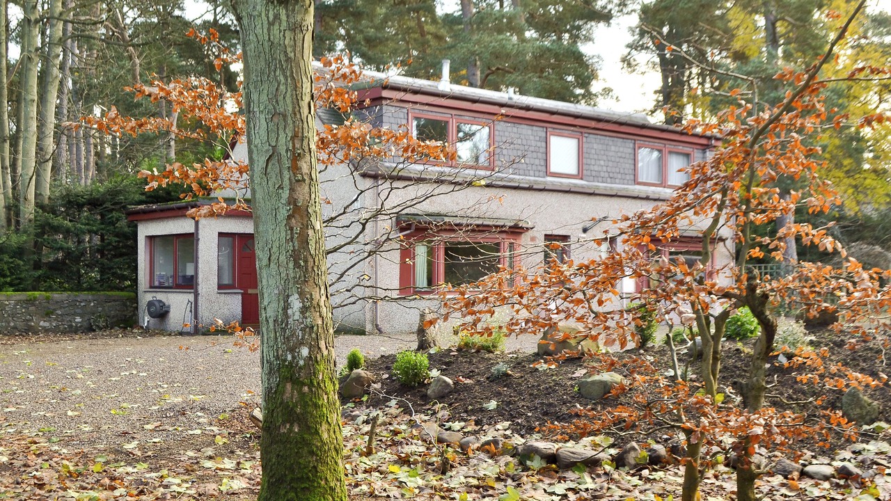 Photo of Others in Rattray