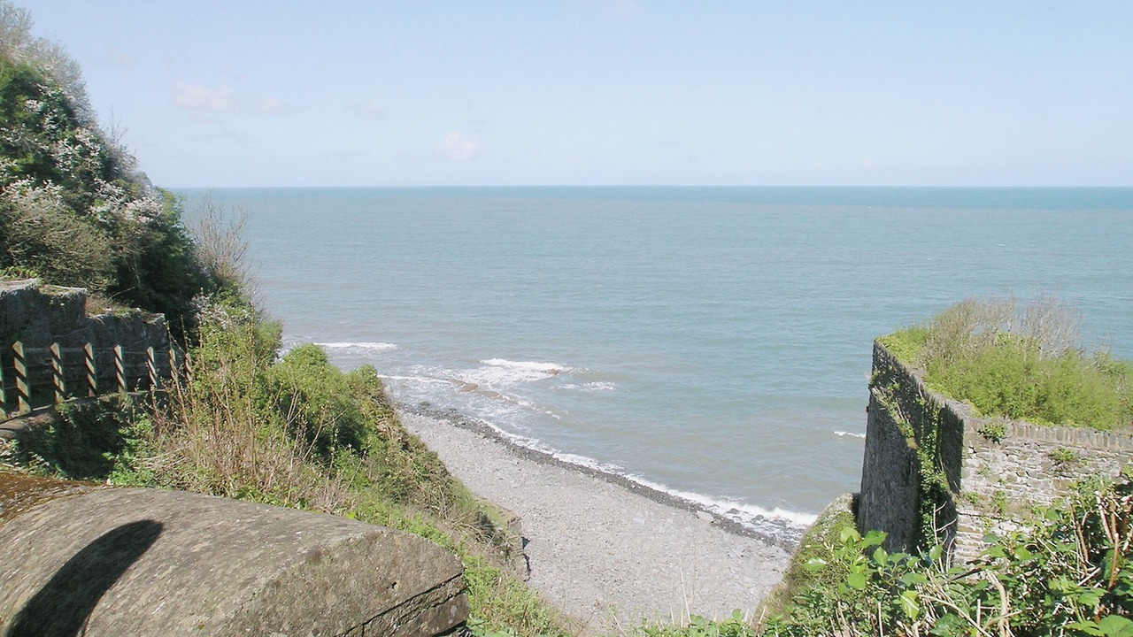 Photo of Others in Bucks Mills