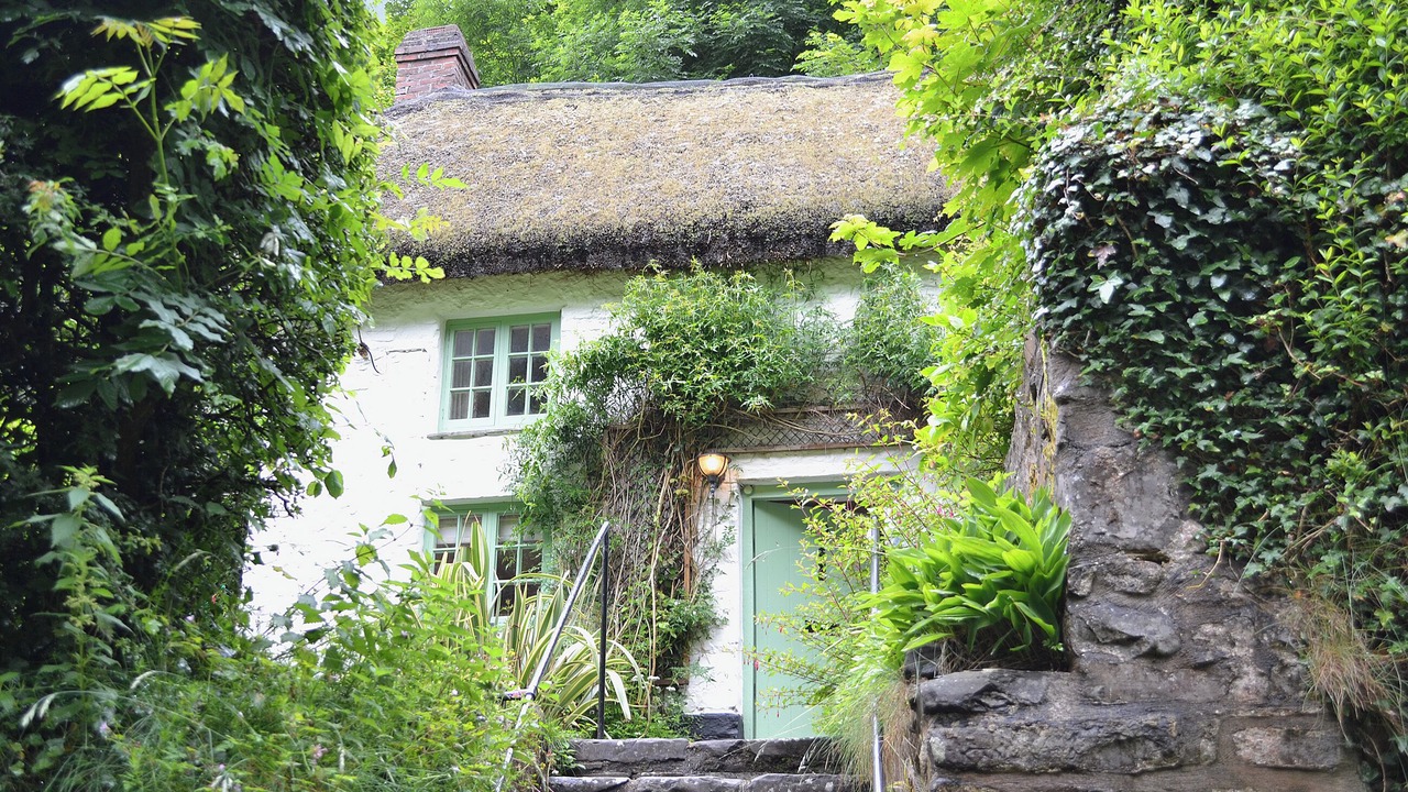 Photo of Outdoor in Bucks Mills