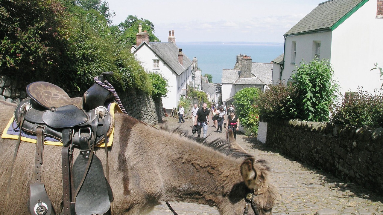 Photo of Others in Bucks Mills