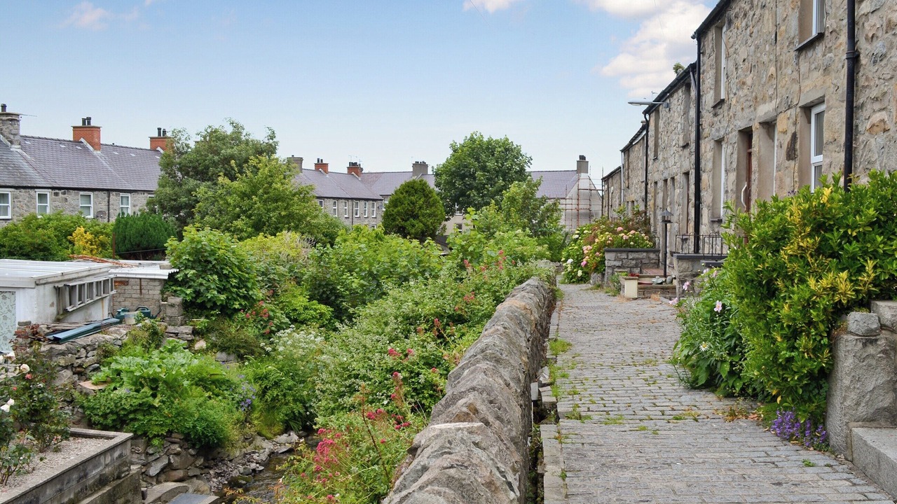 Photo of Others in Trefor