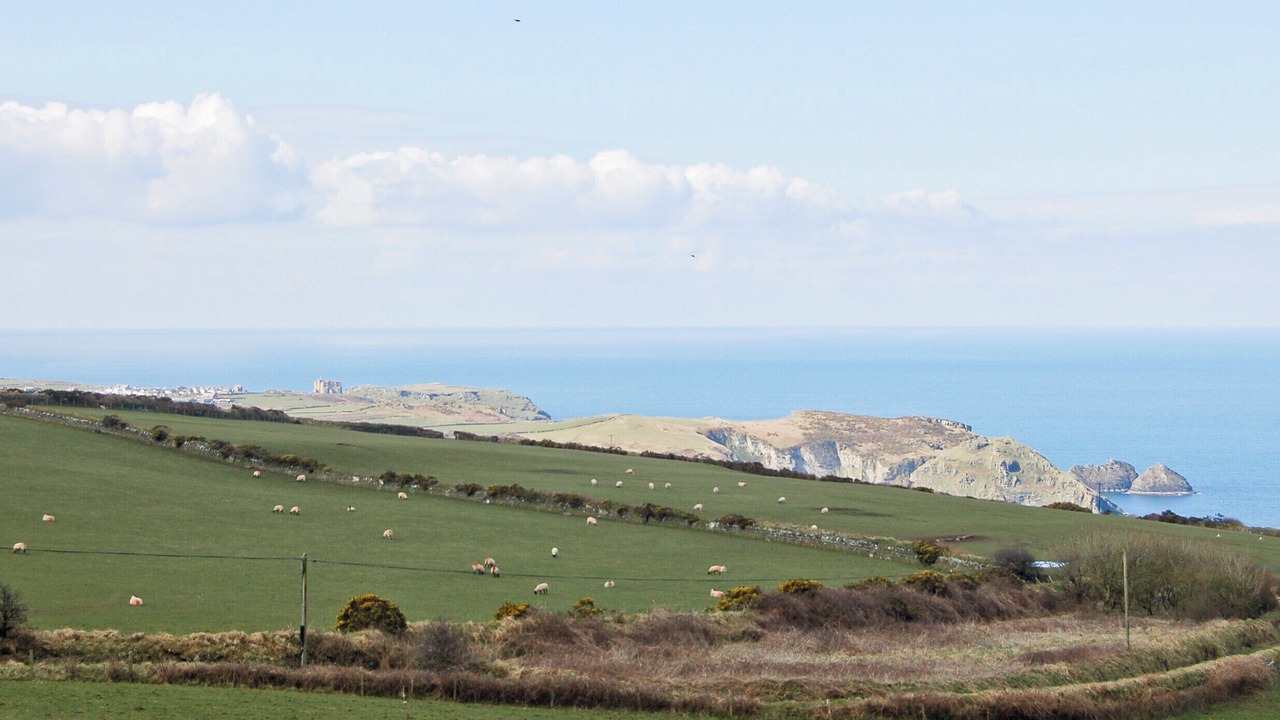 Photo of Others in Tintagel