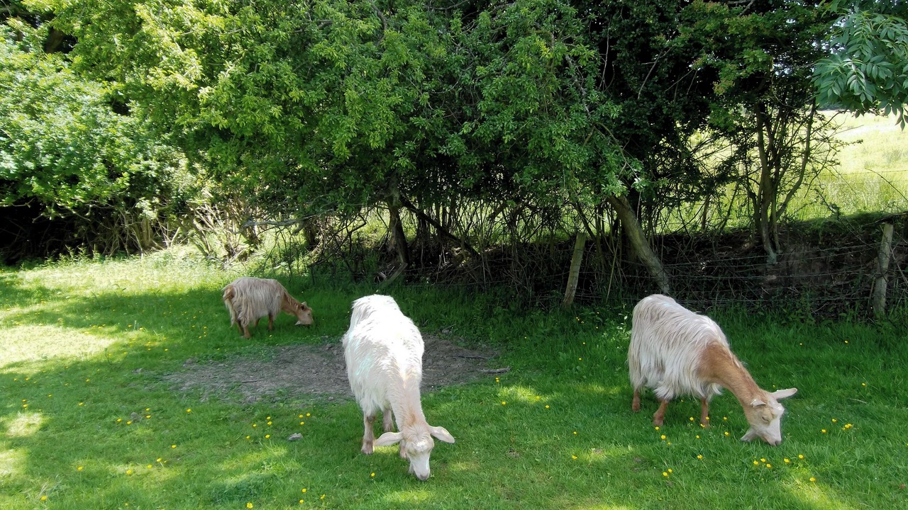 Photo of Others in Ashburnham