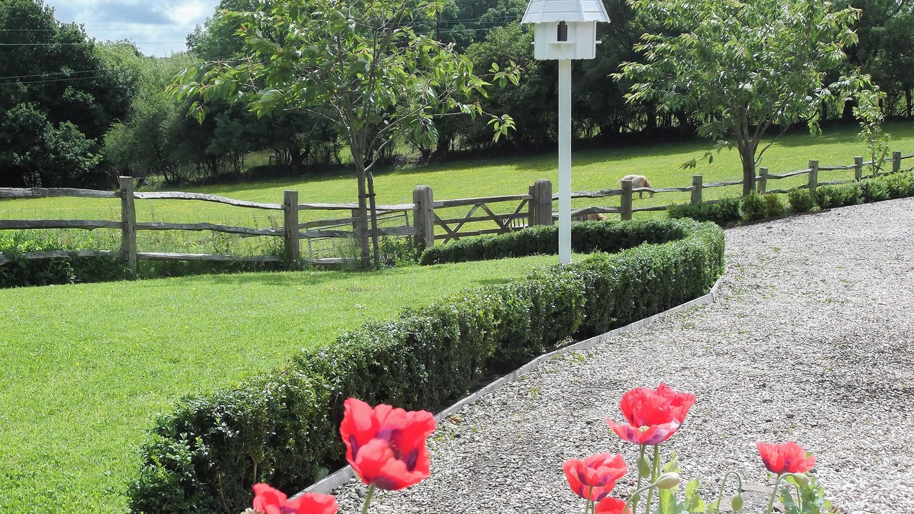 Photo of Others in Ashburnham