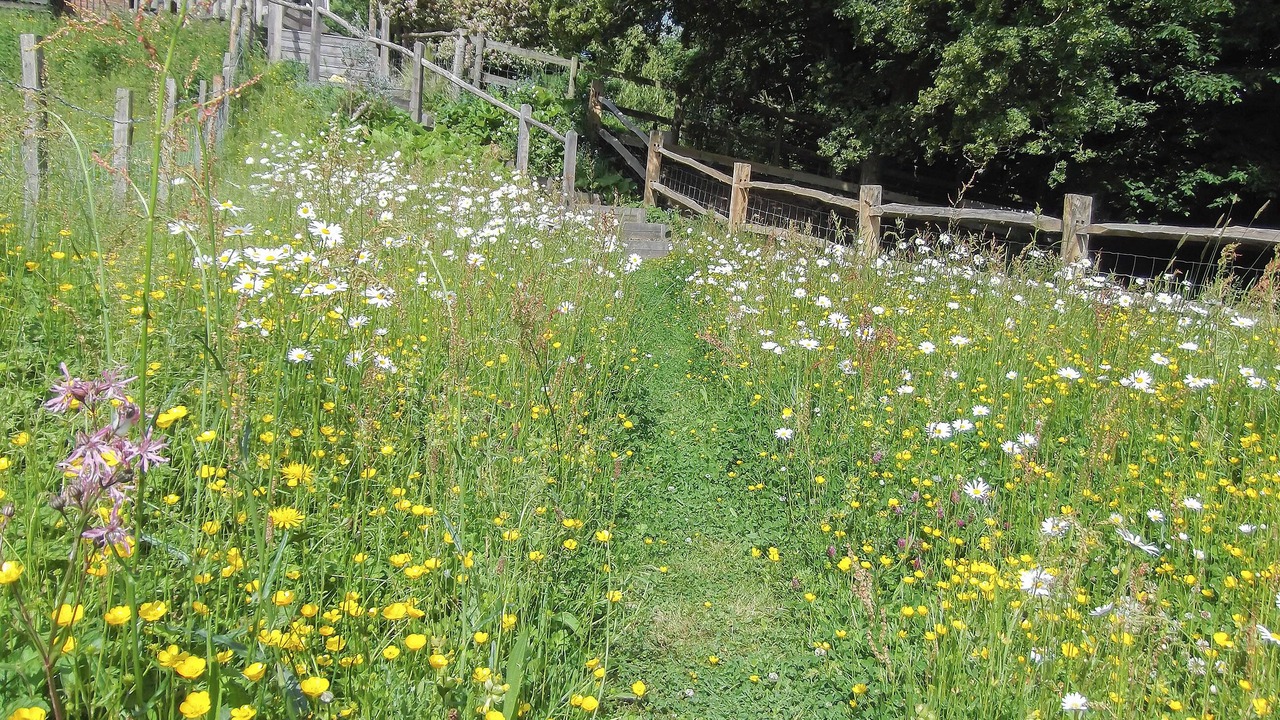 Photo of Others in Ashburnham