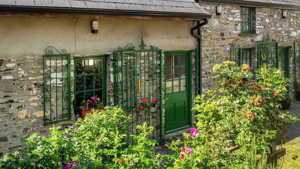 Photo of Outdoor in Tregaron