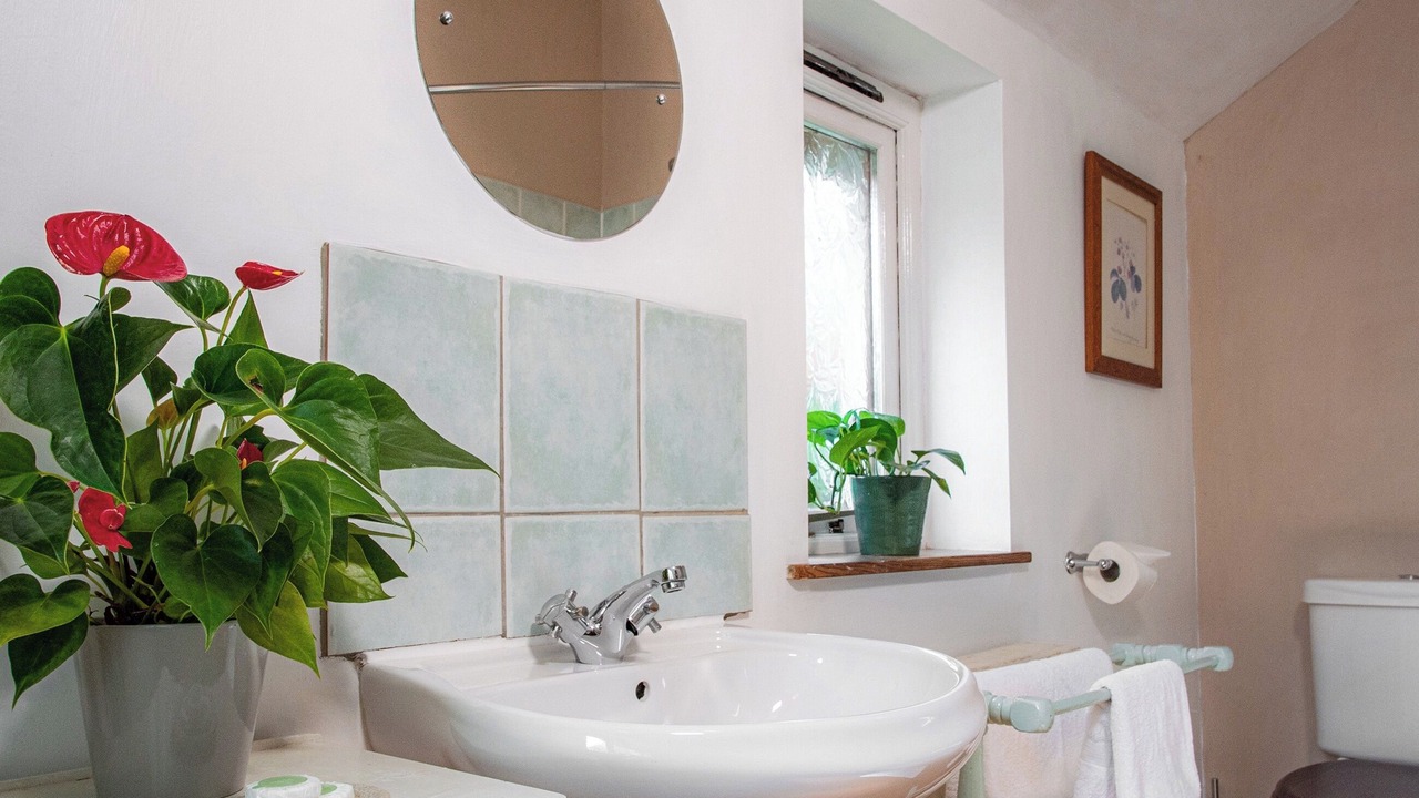 Photo of Bathroom in Tregaron