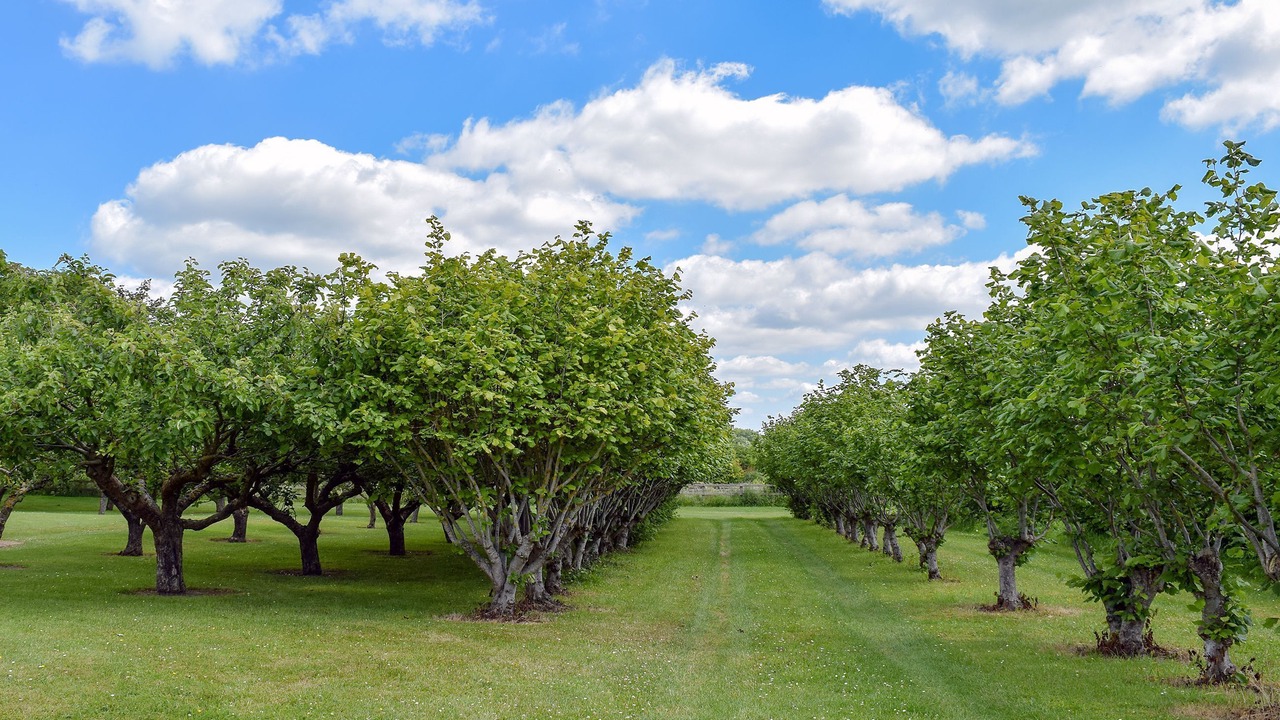 Photo of Others in Upton