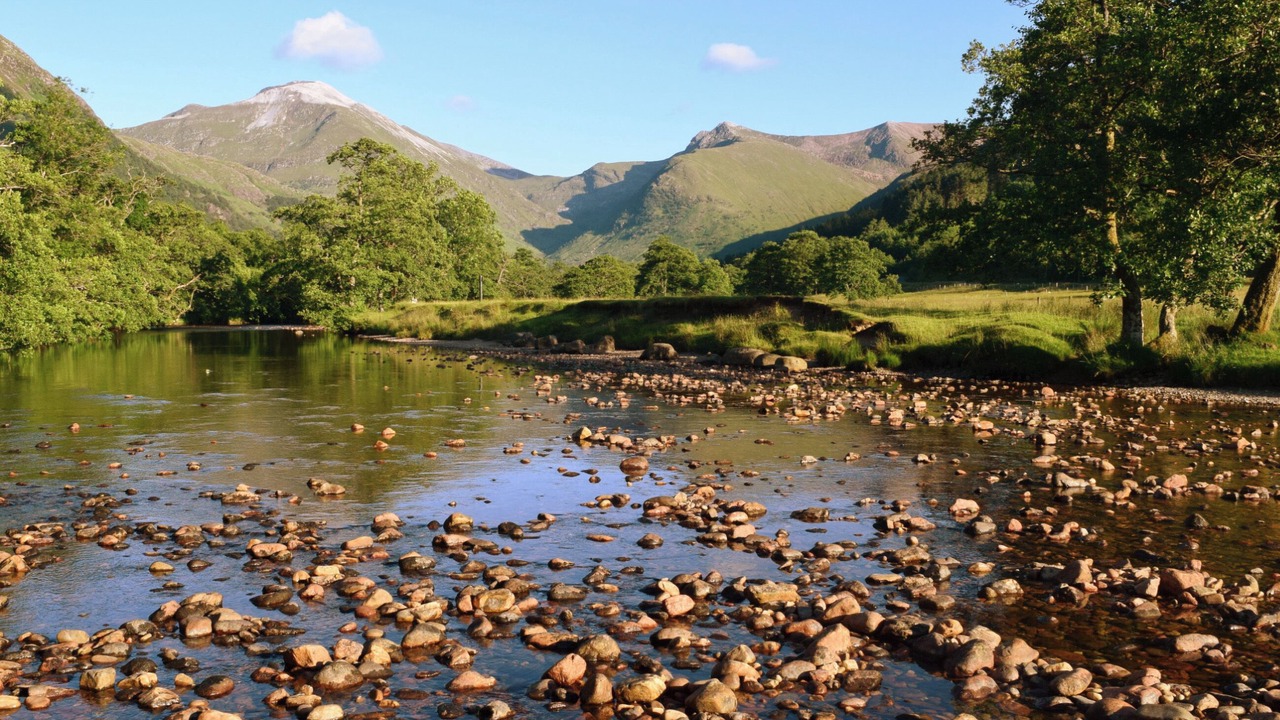 Photo of Others in Fort William