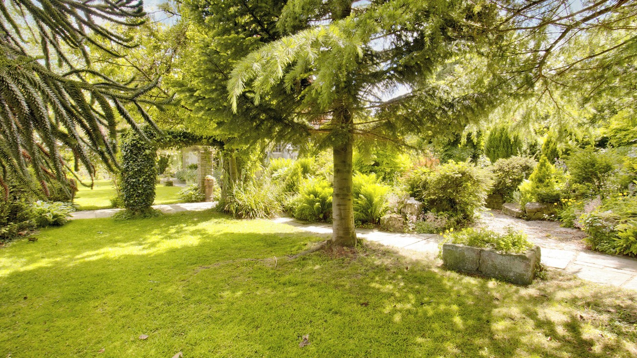 Photo of Outdoor in West Burton