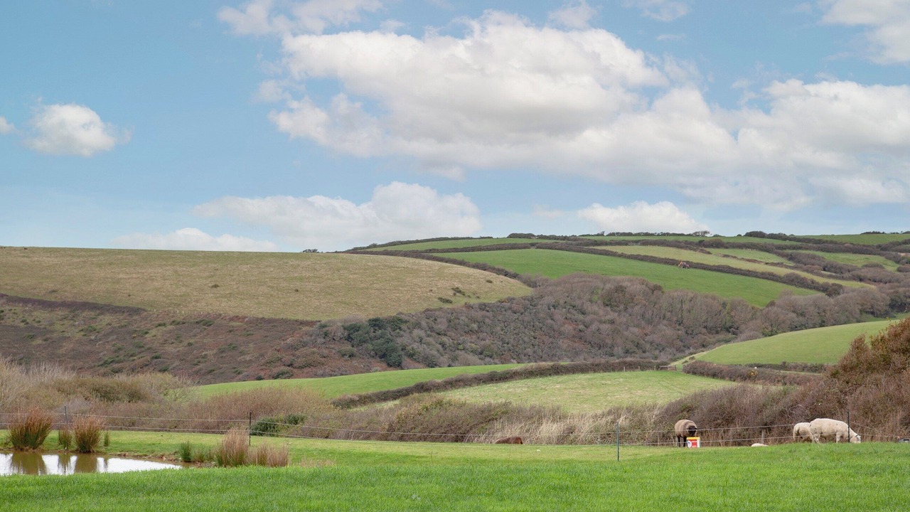 Photo of Others in Saint Gennys