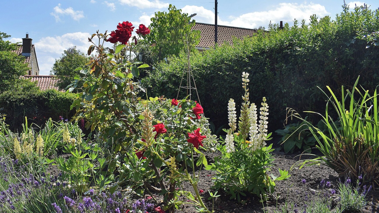 Photo of Outdoor in Briggswath