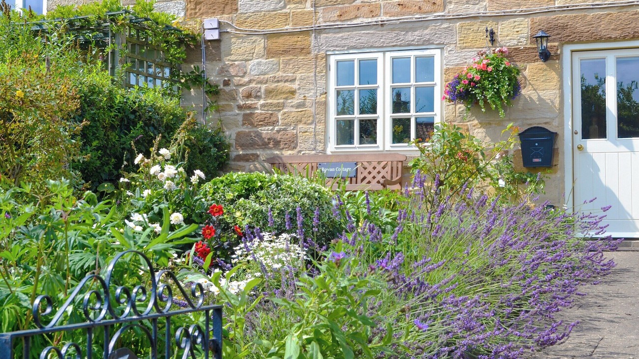 Photo of Outdoor in Briggswath