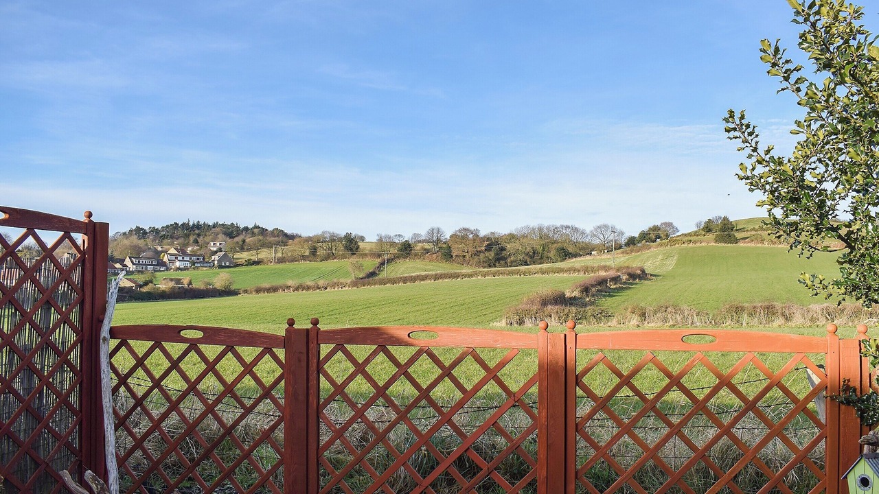 Photo of Others in Briggswath