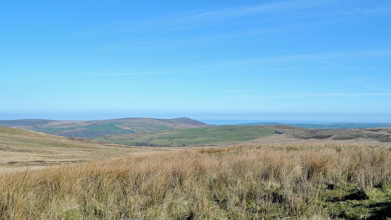 Photo of Others in Clarbeston Road