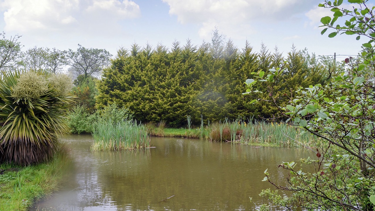 Photo of Outdoor in Rhyd-y-clafdy