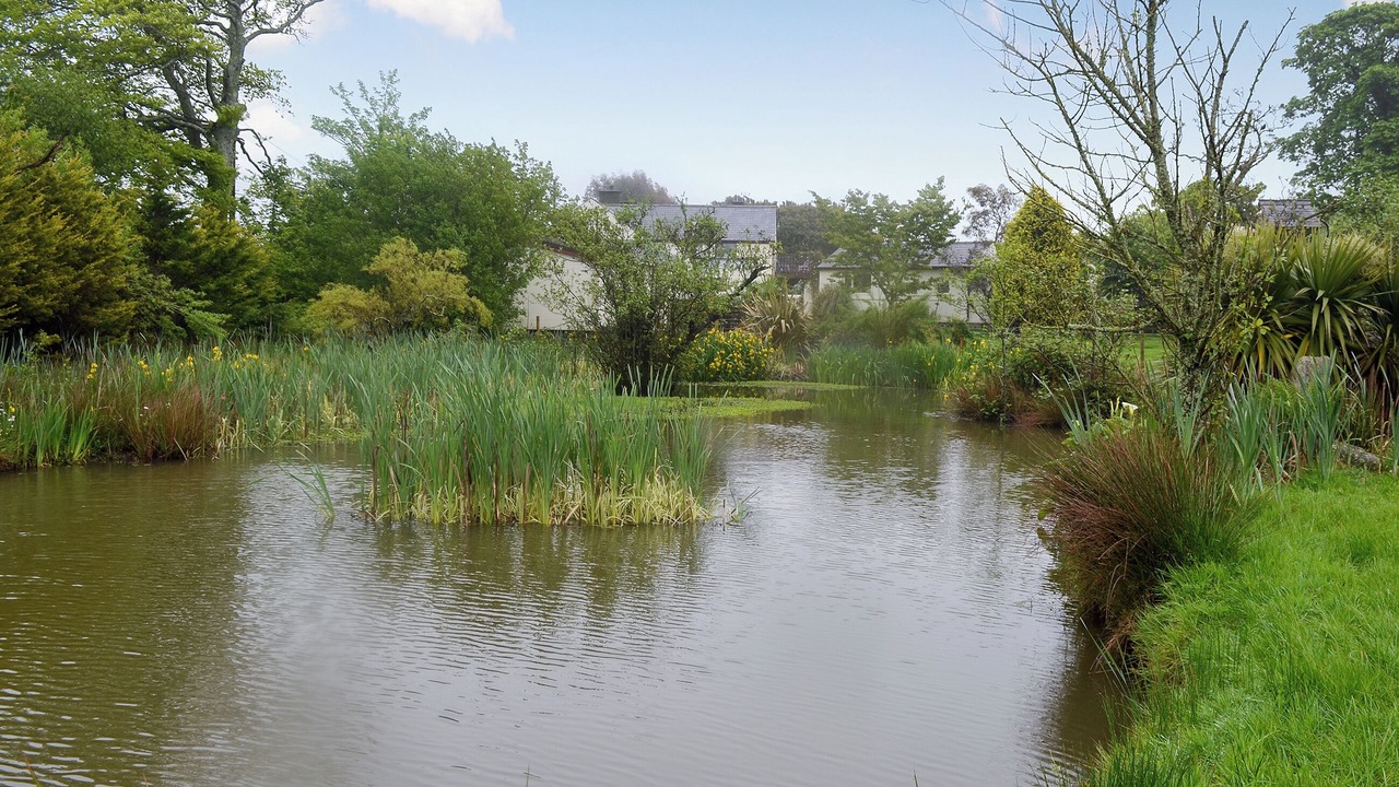 Photo of Outdoor in Rhyd-y-clafdy