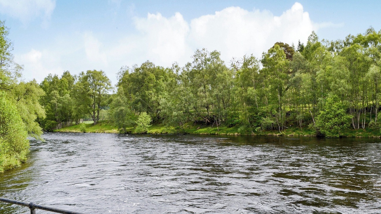 Photo of Others in Dalcherichart