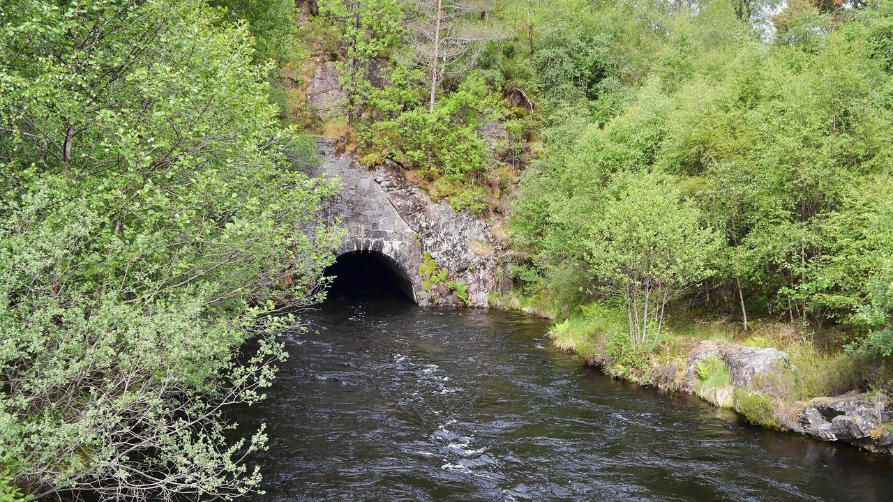 Photo of Others in Dalcherichart