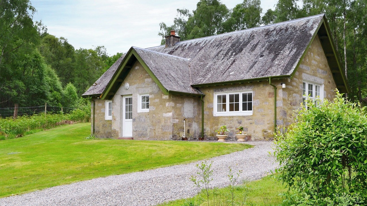 Photo of Others in Dalcherichart