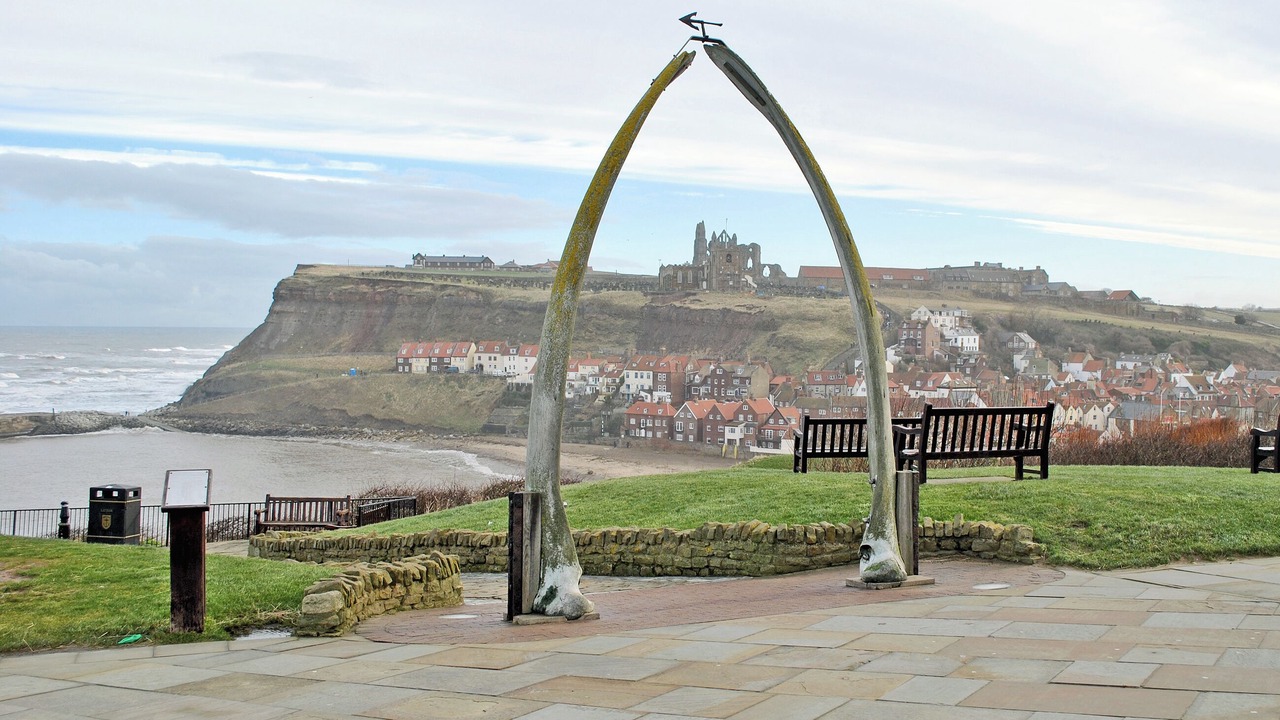 Photo of Others in Whitby