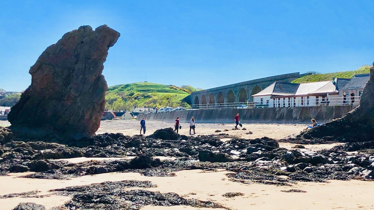 Photo of Others in Cullen