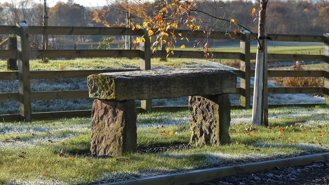 Photo of Others in Linlithgow