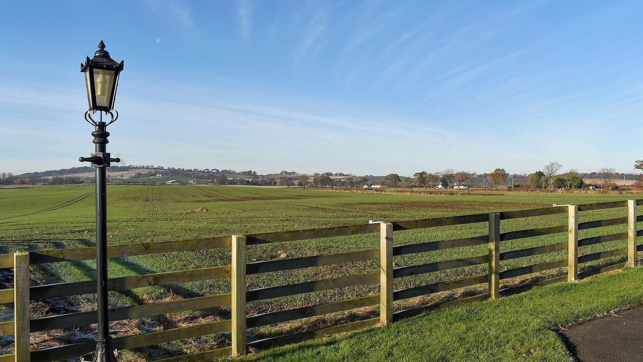 Photo of Others in Linlithgow