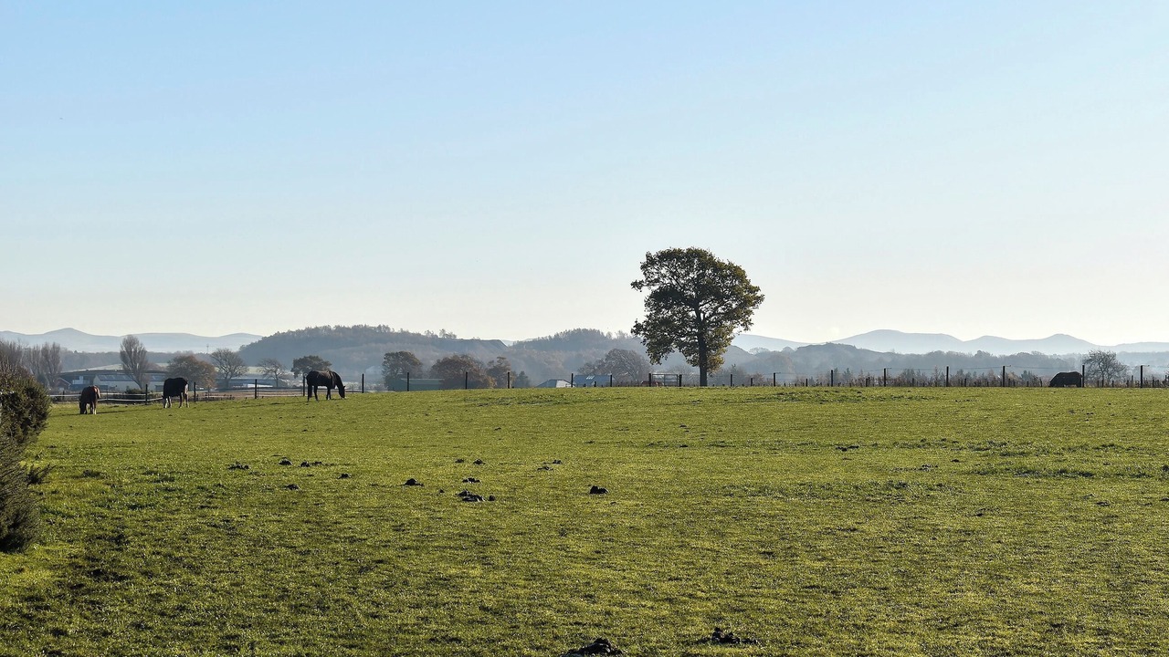 Photo of Others in Linlithgow
