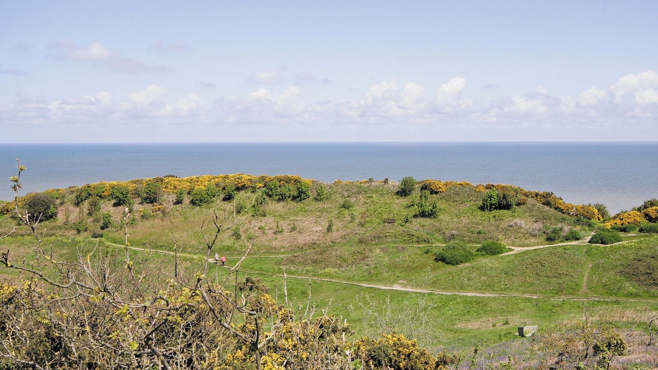 Photo of Others in Cromer