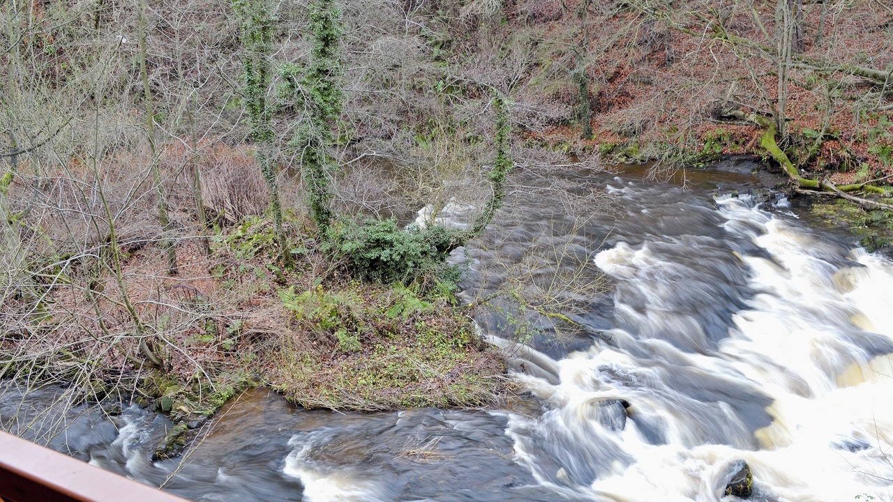 Photo of Others in Linlithgow