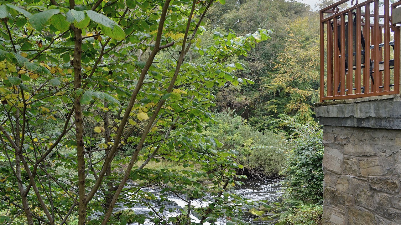 Photo of Others in Linlithgow