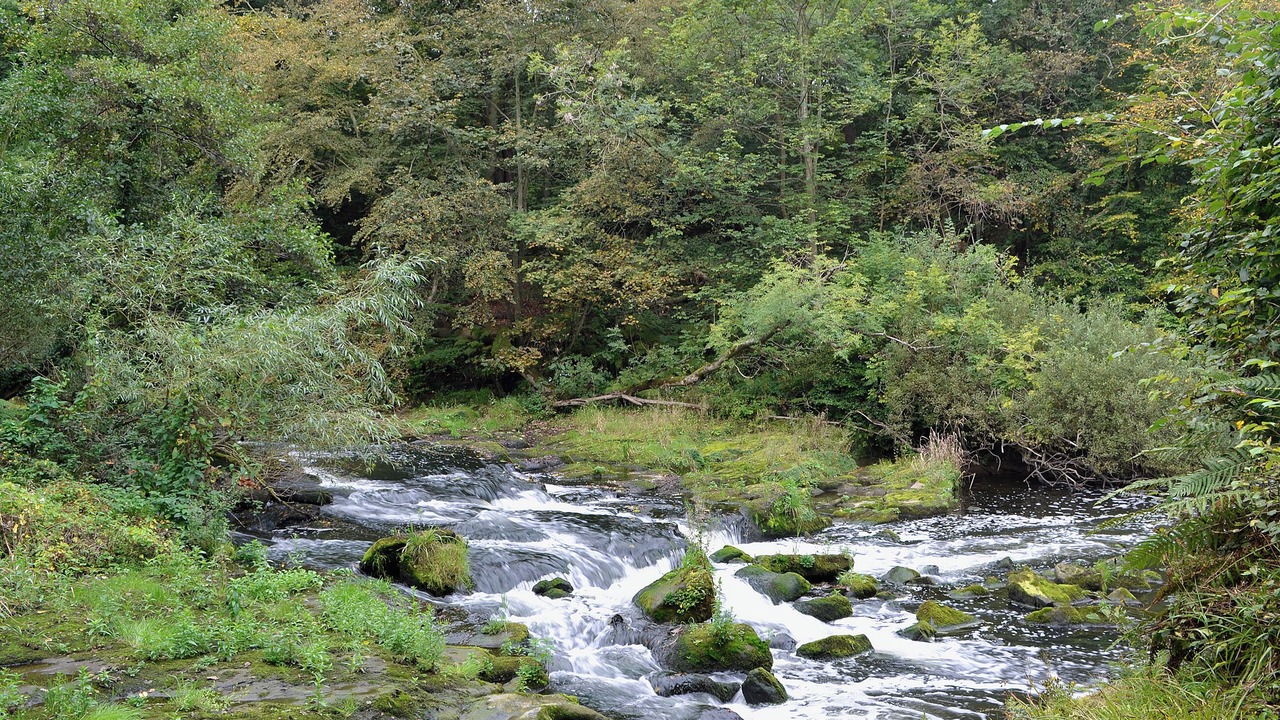 Photo of Others in Linlithgow