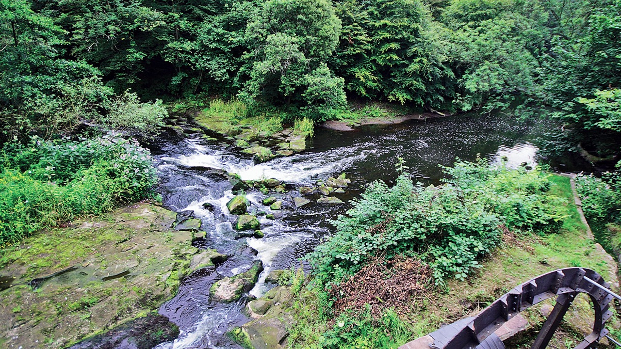 Photo of Others in Linlithgow