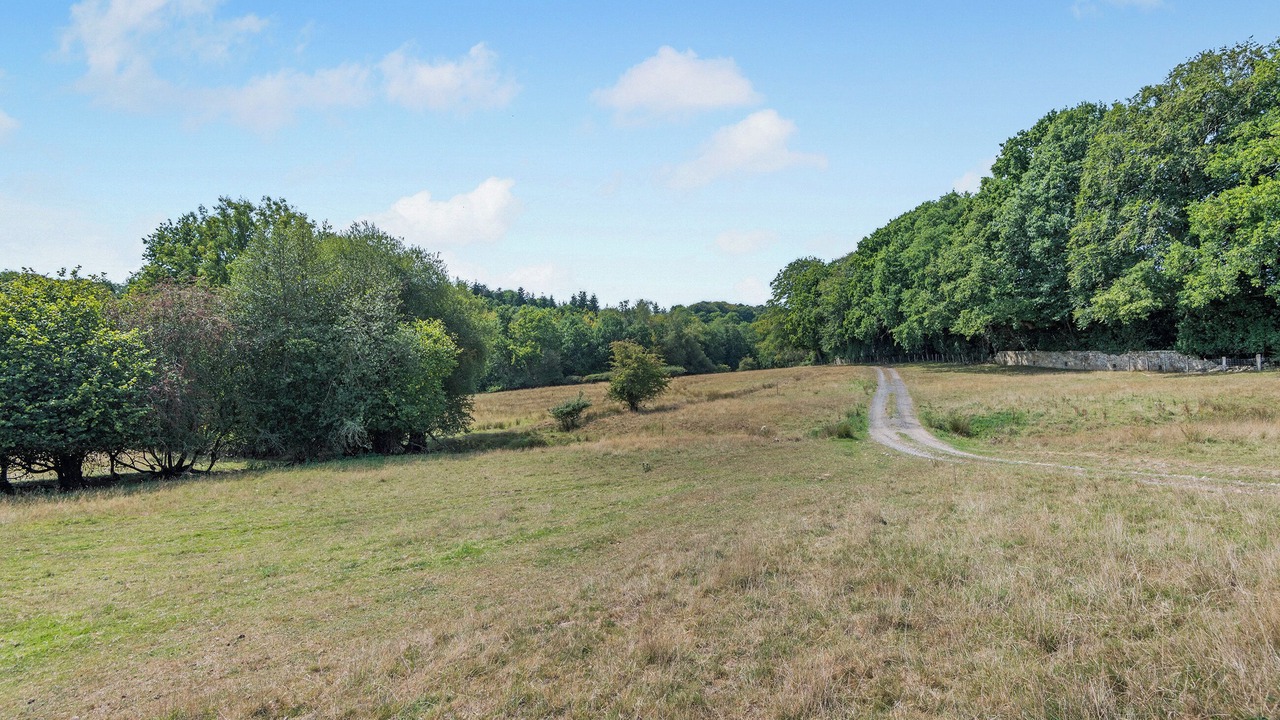 Photo of Others in Robertsbridge